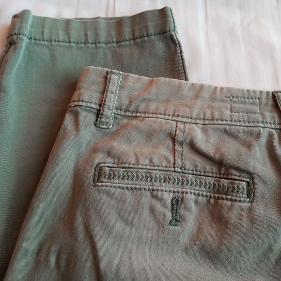 Pilcro and the Letterpress Hyphen Chino Pants - Picture 16 of 16